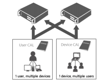 cal-blog