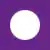 purple circle icon