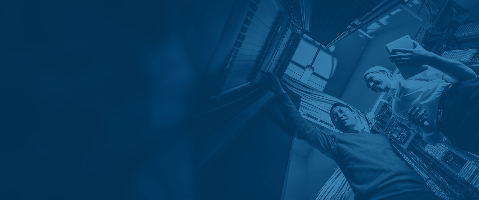 Arrow and Arctic Wolf